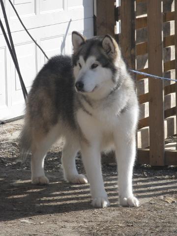 Anna21.4.10054.JPG - Anna 21.4.2010