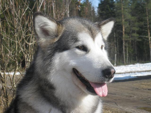 Anna21.4.10064.JPG - Anna 21.4.2010