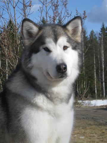 Anna21.4.10077.JPG - Anna 21.4.2010