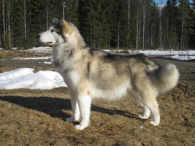 Anna21.4.10113.JPG - Anna 21.4.2010