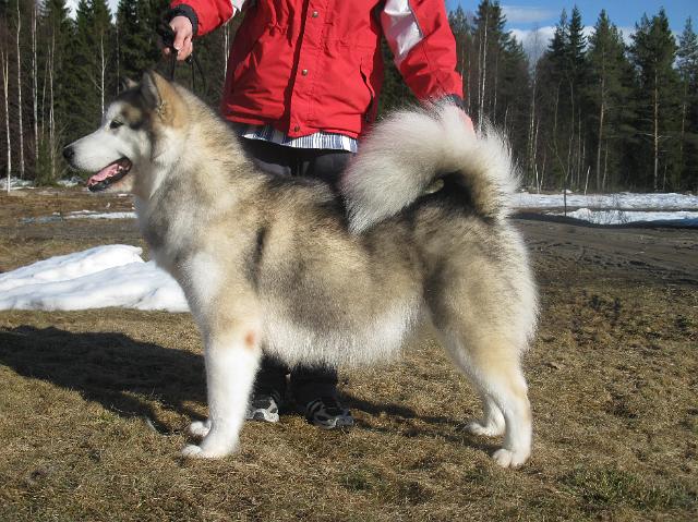 Anna21.4.10129.JPG - Anna 21.4.2010