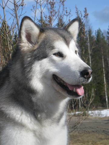 Anna21.4.1071.JPG - Anna 21.4.2010