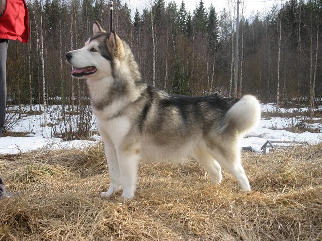 Anna280410_011.JPG - 28.4.2010