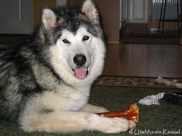 Awakesa-07-005.jpg - Awa summer 2007