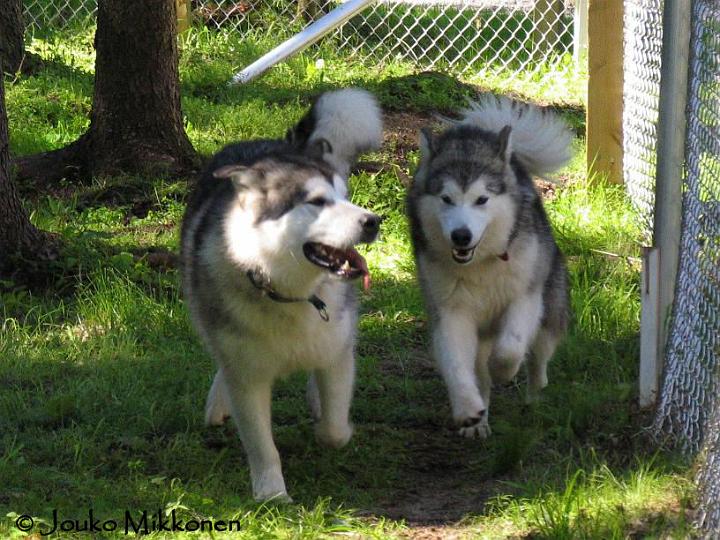 Nicki_Awa1.jpg - Nicki ja Awa pitävät hauskaa kesällä 2007 / Nicki and Awa having fun in summer 2007.