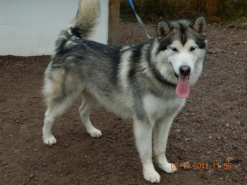 DSCN0050.JPG - Devil