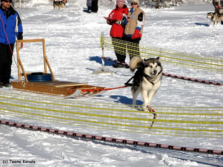 0803_Repekv.jpg - Repe kuormanvedossa Rautavaaralla maaliskuussa 2007