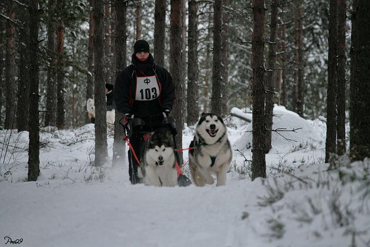 IMG_9709.JPG - Ylämaan Salpasäpinät 2009 Awa & Nicki