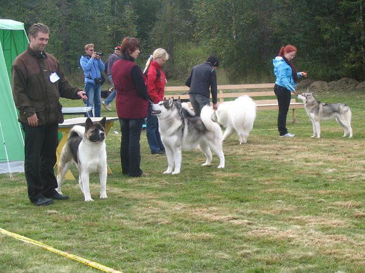 Ypparielo-08_035.jpg - Sari ja Nicki RYP-2 Yppärissä 30.8.08 / Sari and Nicki Group-2 in Yppäri 30.8.08