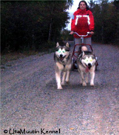 ajoa06.jpg - Repe ja Apollo syyskuussa 2006.