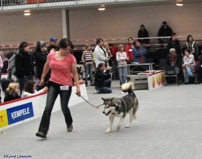 laikkuvauhti-copy.jpg