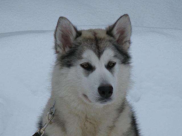 Lila11.3.10_104.JPG