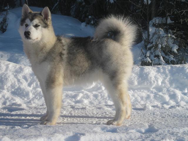 Lila19.2.10_019.JPG