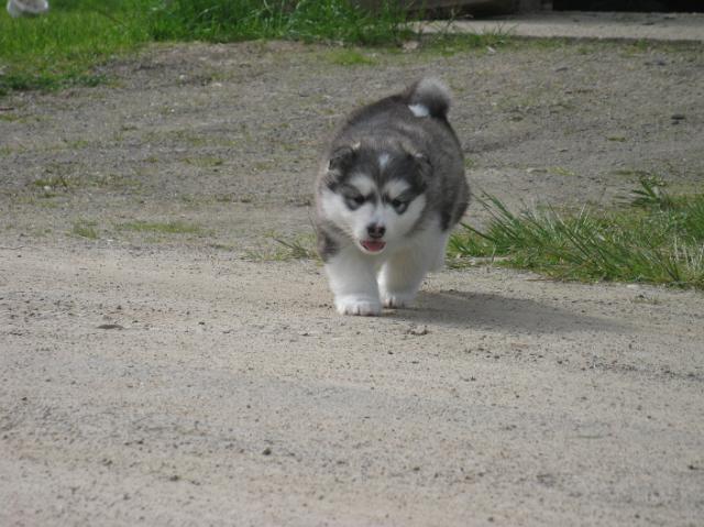 IMG_7810.JPG - 5 weeks