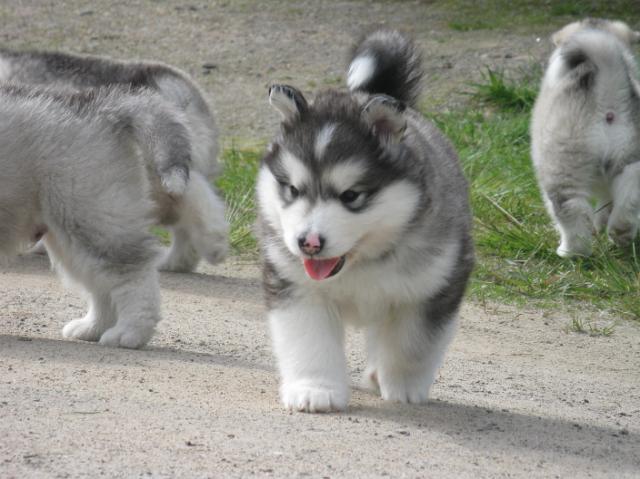 IMG_7812.JPG - 5 weeks