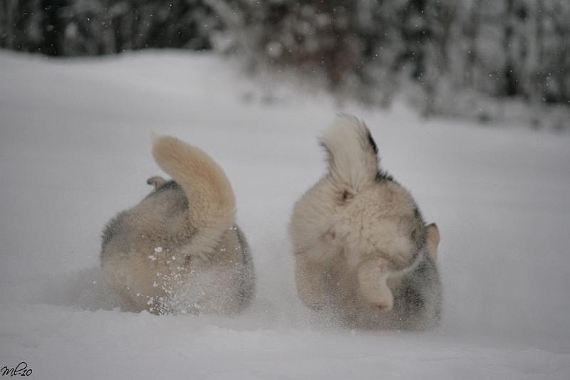 IMG_4823.jpg